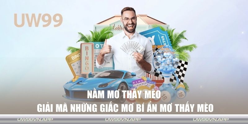 Nằm mơ thấy mèo